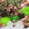 thumbnail image 3 of KAKOWELY bearded dragon tanks Basking Platform For Aquatic Turtles With Suction Cups Floating Island Turtle Tank Climbing Ramp For Turtles Gecko And Lizard Habitat Accessories, 3 of 5