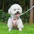 thumbnail image 2 of AIITLE Adjustable Reflective Breathable Dog Harness Vest, No Pull, Escape Proof, with Leash, Small/Medium Dogs, Turquoise-Pink, M, 2 of 8