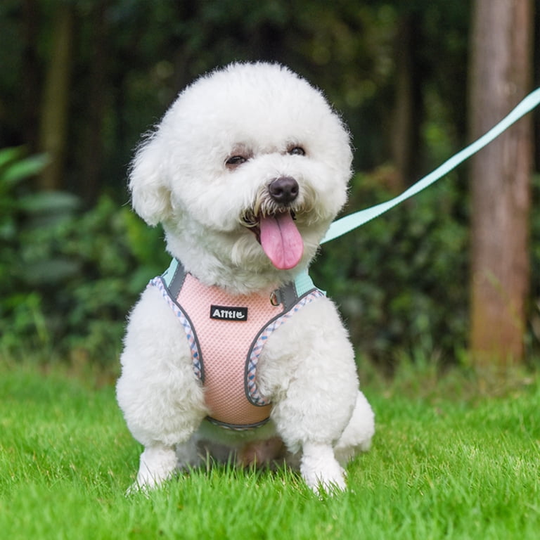 AIITLE Escape-Proof Dog Harness with Leash, Medium, Turquoise-Pink photo 2
