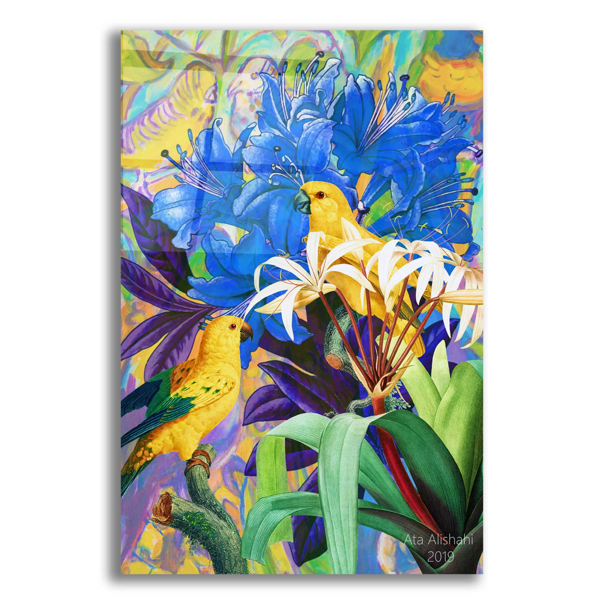 Epic Art Bird Kingdom 2 by Ata Alishahi Acrylic Glass Wall Art 16 x24