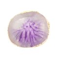 thumbnail image 2 of Opvise Resin Nail Art Gel Polish Color Palette Display Board Holder Plate Manicure Tool, 2 of 8