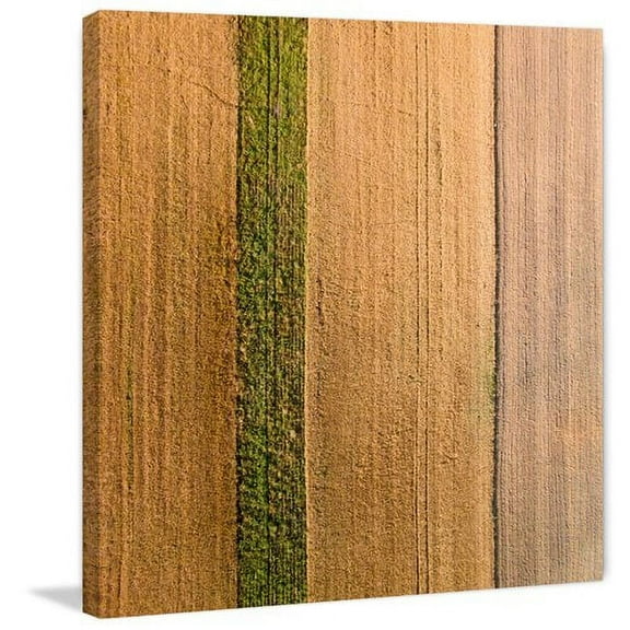 Marmont Hill "Seeded Land" by Karolis Janulis Painting Print on Wrapped Canvas