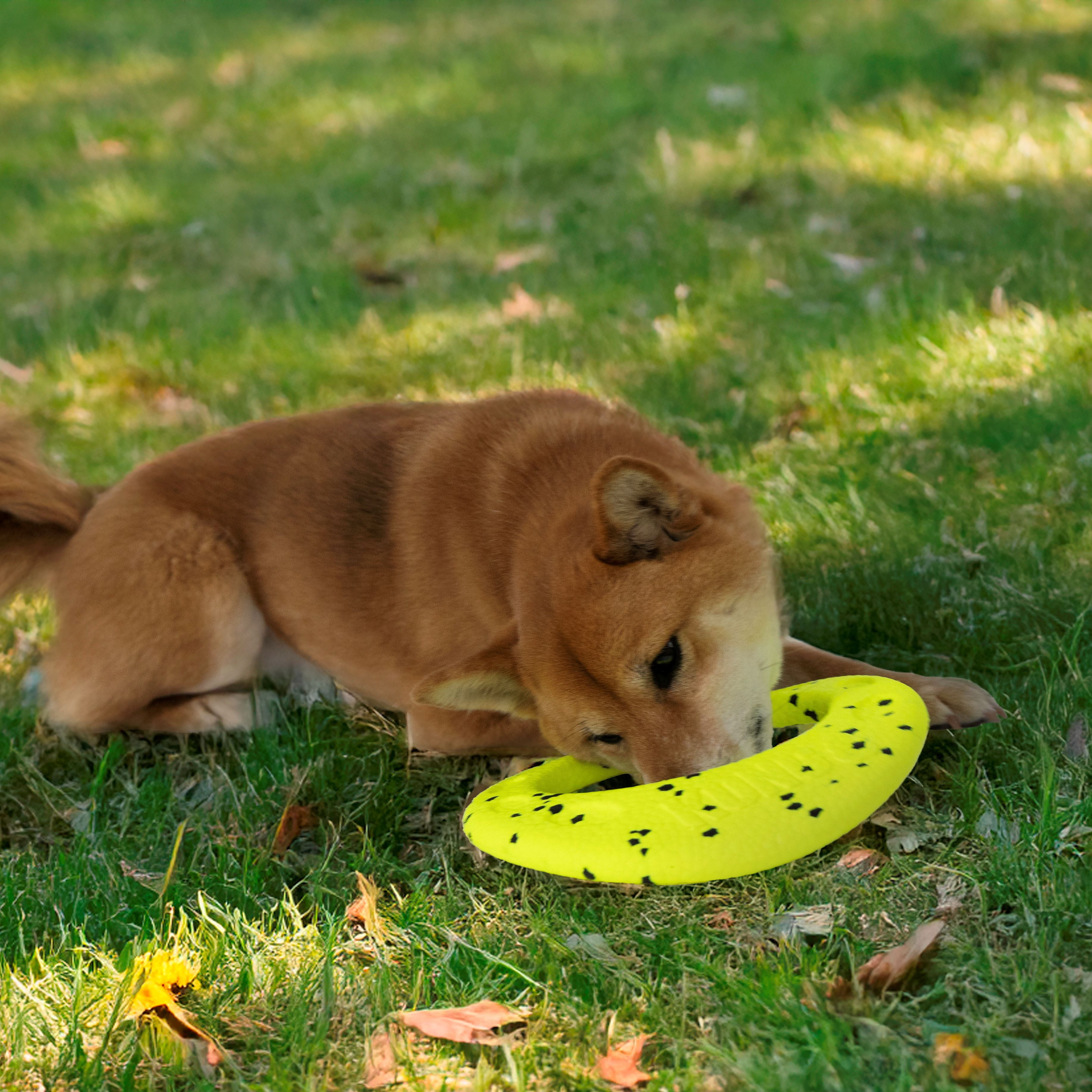 KONG® Reflex Flyer Ring Floating Dog Toy