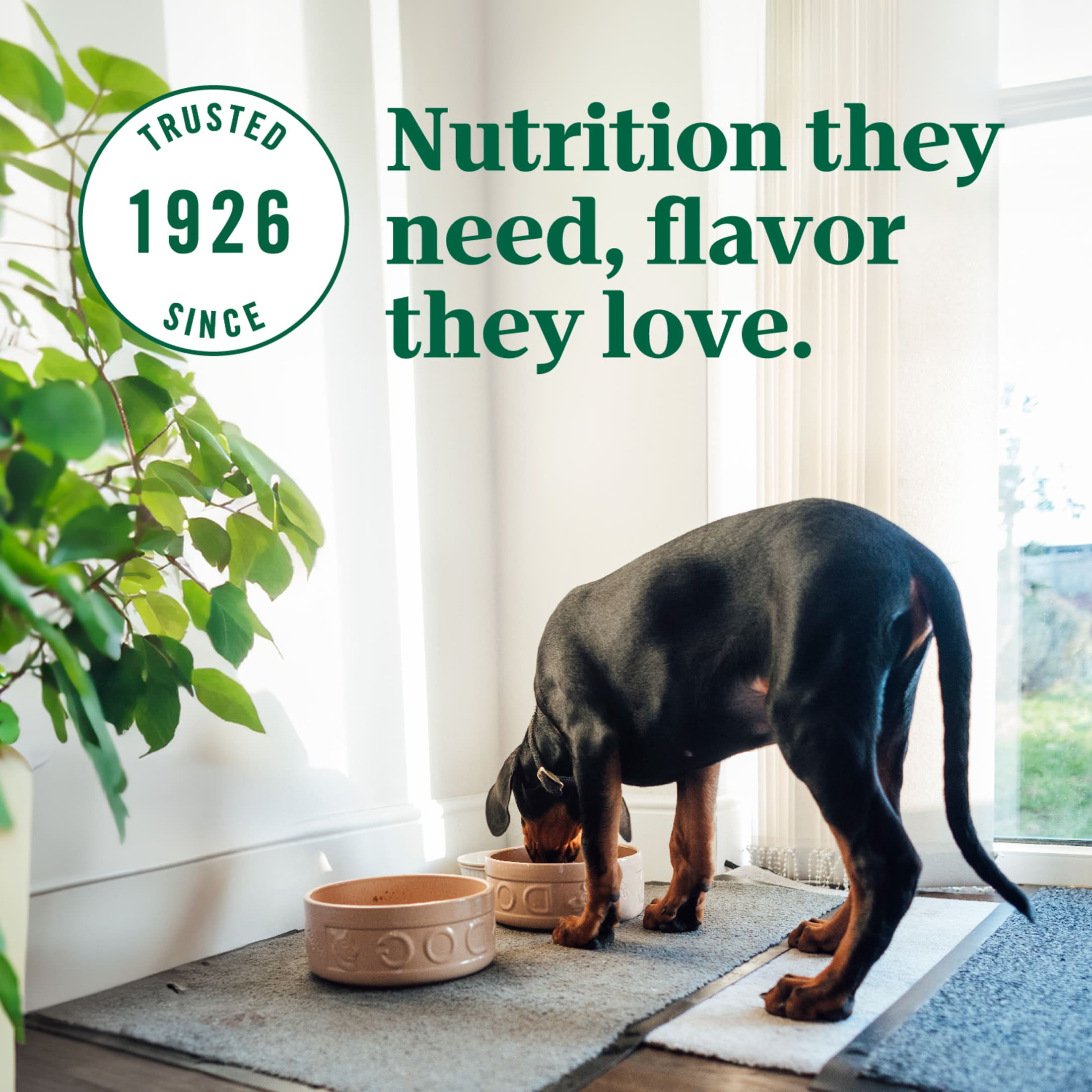 Nutro Ultra Large Breed Puppy Dry Dog Food, Chicken, Lamb And Salmon Protein Trio, 27 Lb Bag
