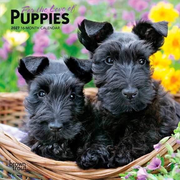 For the Love of Puppies | 2027 7x14" (Hanging) Mini Wall Calendar | BrownTrout
