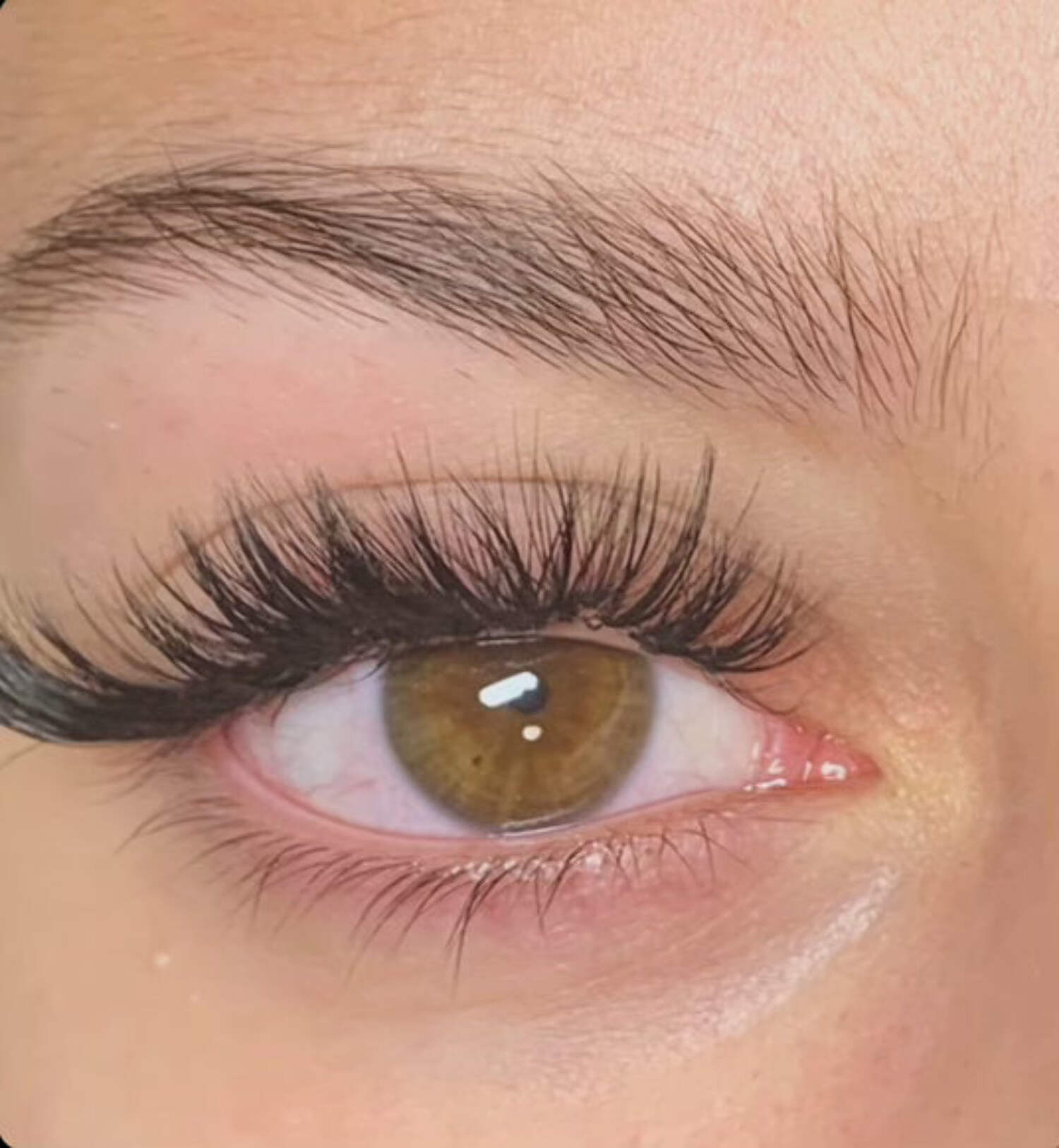 DesignerLash Kit-Star Mini Black Eyelash Extension - Double the Glamour, Double the Style - 2 Pairs