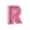 R R, variant on Xecvkr Wooden English Alphabet Money Box Personalized Coin Cash Bank Children Adult DIY Name Birthday Gift Bedroom Living Room Decor Transparent Acrylic 1pc 9.1in