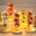 thumbnail image 3 of Profesional En Cúpula De Vidrio Con Tira De Luz Led Flores De Vidrio Decorativas Duraderas Multicolor Para Regalos Oficina Cateissary HA044117-03, 3 of 6