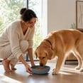 thumbnail image 3 of Rdausd 5.98" Silicone Pet Bowl with Suction Cup, Non-Slip Dog Cat Feeding Bowl, Food Grade Water Bowl for Small Medium Pets, BPA-Free Durable Pet Bowl, Gray, 3 of 5