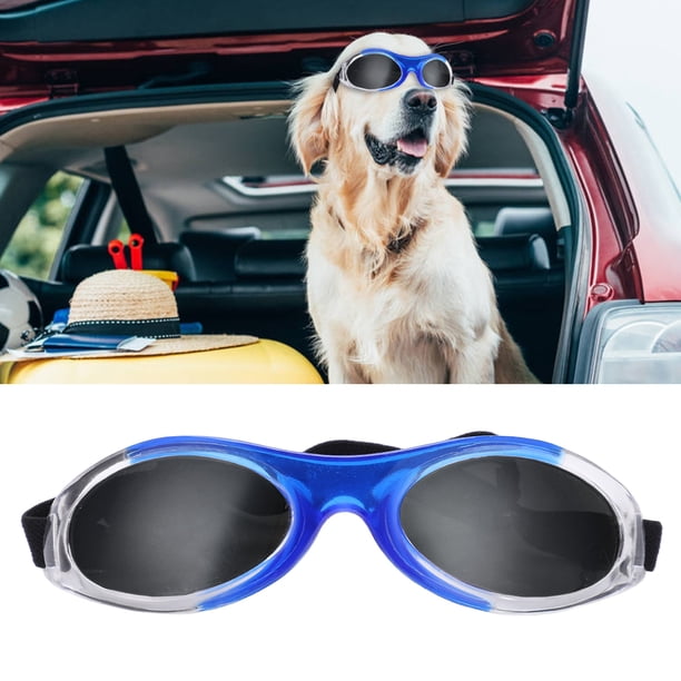 Gafas de Sol de Perros, Diseño Profesional de Copas para Perros para al aire libre