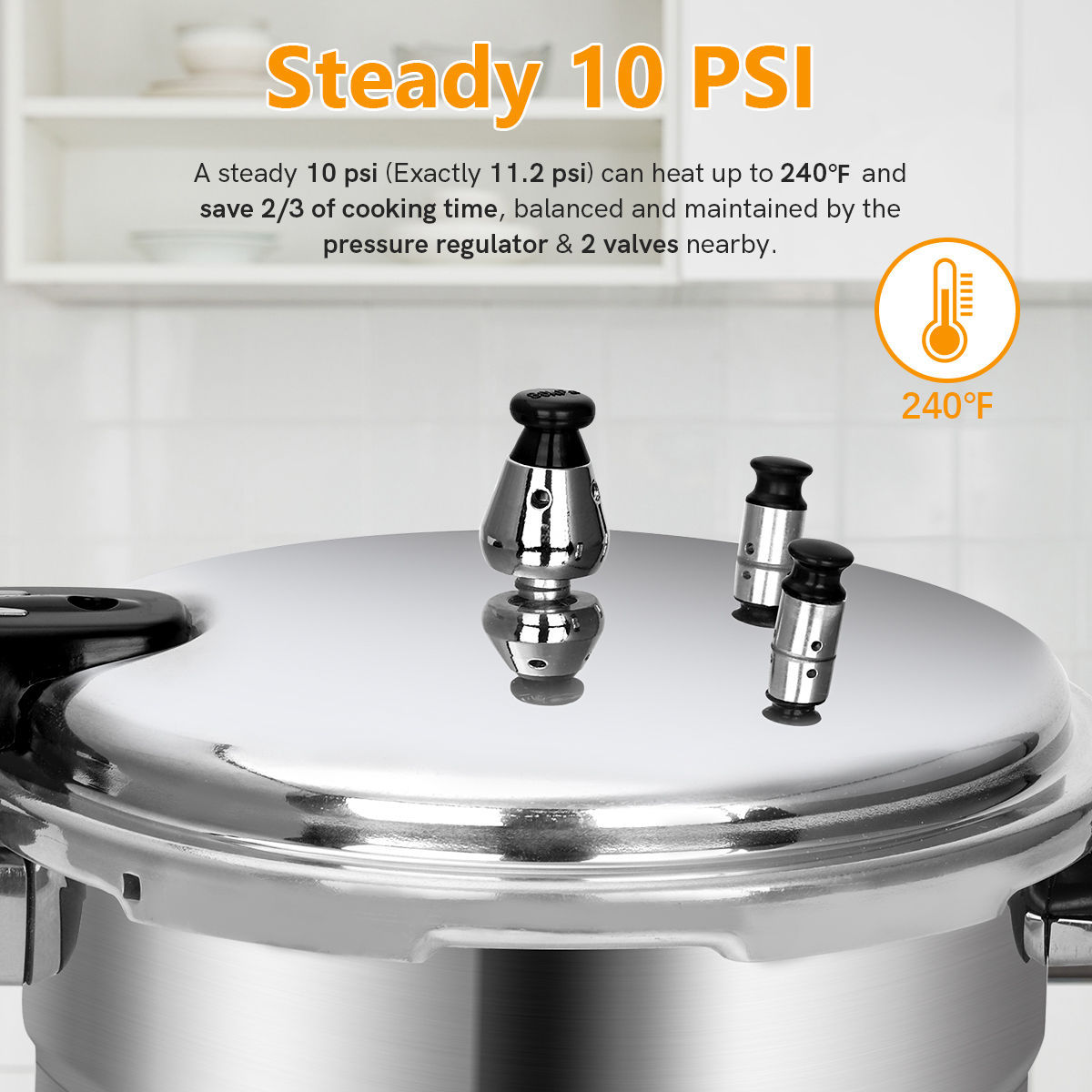 BreeRainz 5.3 Quart Pressure Cooker, 10 PSI Induction Compatible Pressure Canner w/ Honeycomb Stainless Steel Clad Base for Fast & Even Heating, Canning Rack Included