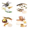 thumbnail image 2 of verishout 1 Set Life Cycle Models Exquisite Interesting Display Prop Unique Simulation Education Props Animal Toy for Children Dragonfly 1Set, 2 of 5