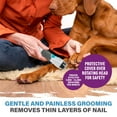 thumbnail image 4 of Paw Perfect Pet Nail Groomer with Protective Cover, Ultra Quiet Motor, LED Light, 2 Speeds, Slip-Free Handle, 3 Rollers Included - For Small & Large Pets, 4 of 8
