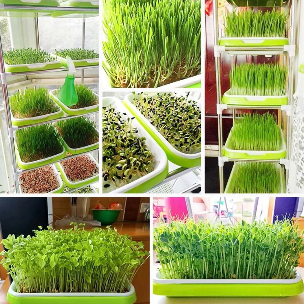 Wuweikeji Hydroponic Microgreens Starter Kit: 2-Layer Plastic Tray (13 x 10.2 x 2 inches) with 10 Paper Sheets - Indoor Sprouting System for Beginners and Advanced Gardeners