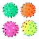 thumbnail image 1 of Dog Squeaky Ball Chew Toy - Assorted Varieties, 1 of 4