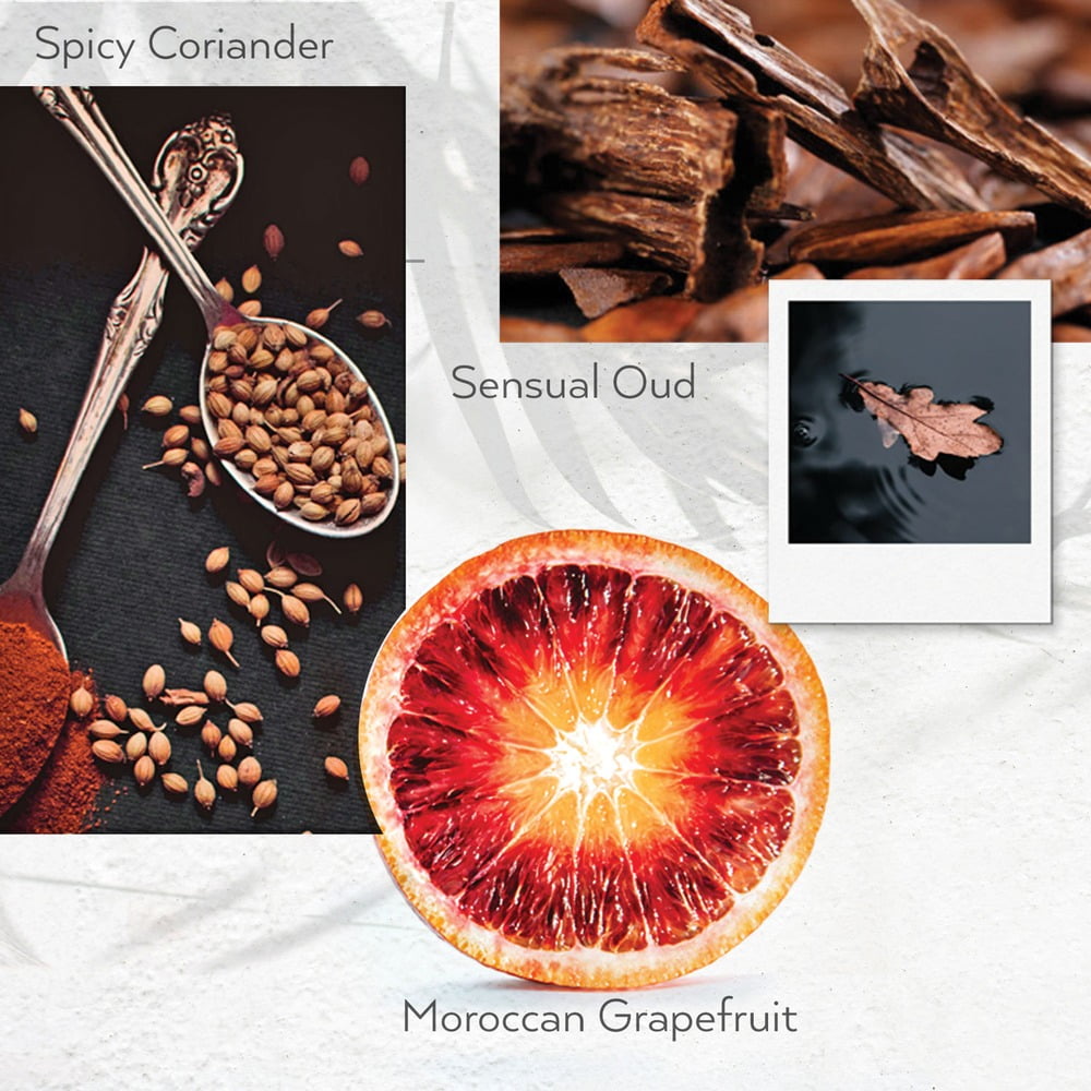 Guild+Pepper 100304 12.2 oz Shower Gel - Warm Oak Scent (12/Carton