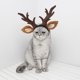 thumbnail image 4 of Sombreros navideños para mascotas, adornos para gatos, sombreros de cuerno de ciervo, decoraciones festivas, cuernos anticaída, sombreros de modelado, 4 of 7