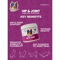 Tailwagger Hip and Joint AIF4 Support Supplement for Dogs Supports