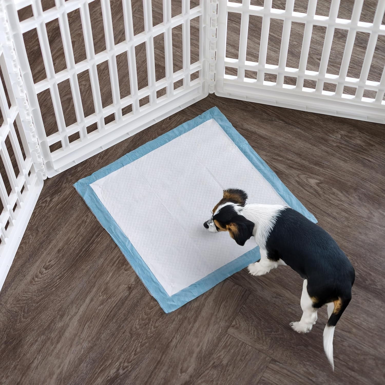 IRIS Puppy Pads with Quick-Dry Leak-Proof Design for Potty Training, Regular Size 22x22 In, 100 Count