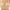 1-Front Closure-Beige, variant on CLOISE Front Clasp Bras for Women, Women's Minimizer Bras, White Bra, Purple