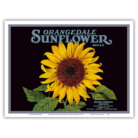 Orangedale Sunflower Brand - California Oranges - Vintage Fruit Crate Label c.1930s - Master Art Print (Unframed) 9in x 12in