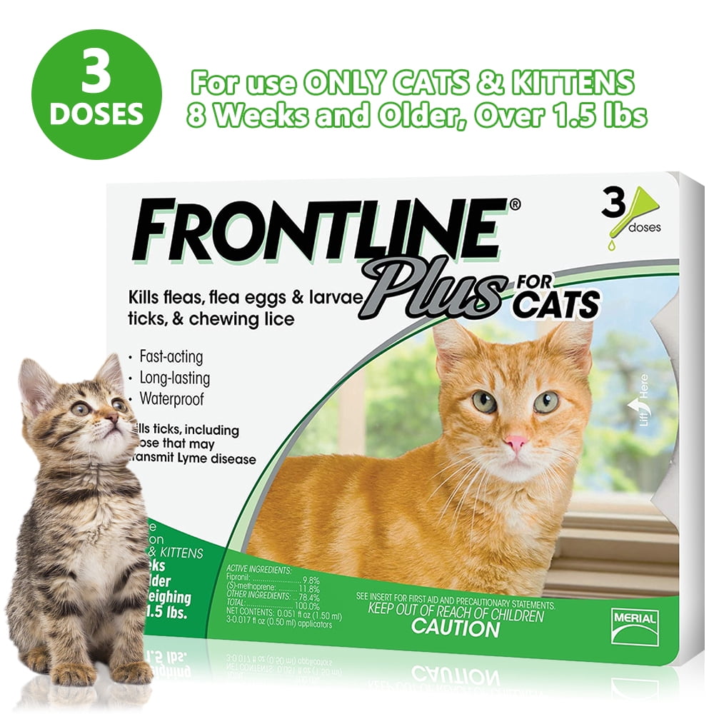 frontline cats walmart