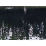 Reflective Black Pond Dye Concentrated Quart