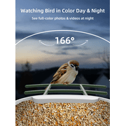 Smart Bird Feeder with Camera,YBLOC Bird Feeder Solar with Phone App AI Identify Bird Species Night Vision for Bird Watching ,Gifts for Parents, Hopper Feeder, (AI+Solar) Green