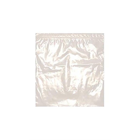 SSWBasics Resealable All Clear Plastic Bags - 12 x 12 in - Case of 100