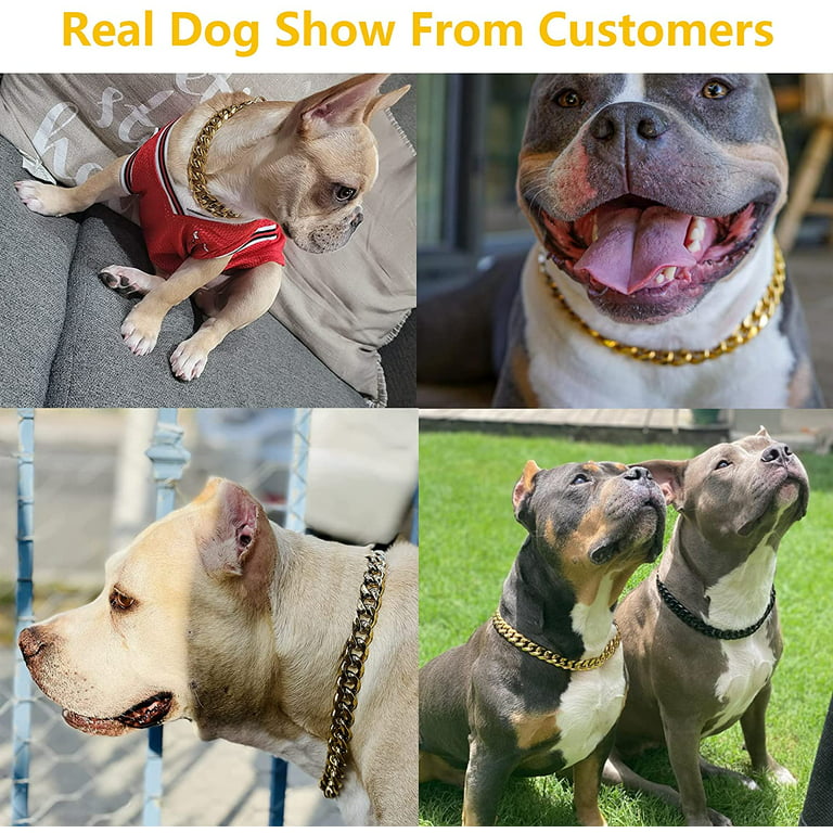 Designer Dog Collar Gold Metal Stainless Steel with Zirconia Lock 14mm 18K  Gold Big Dog Luxury Training Collar Cuban Lock Link Necklace Chain(12 inch)