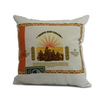 Simply Daisy, 20" x 20" Cigar Box Front, Geometric Print Outdoor Pillow, Orange