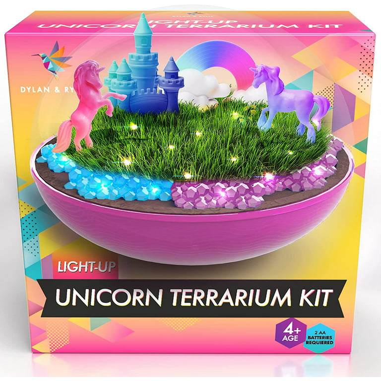 Mini Terrarium Kit