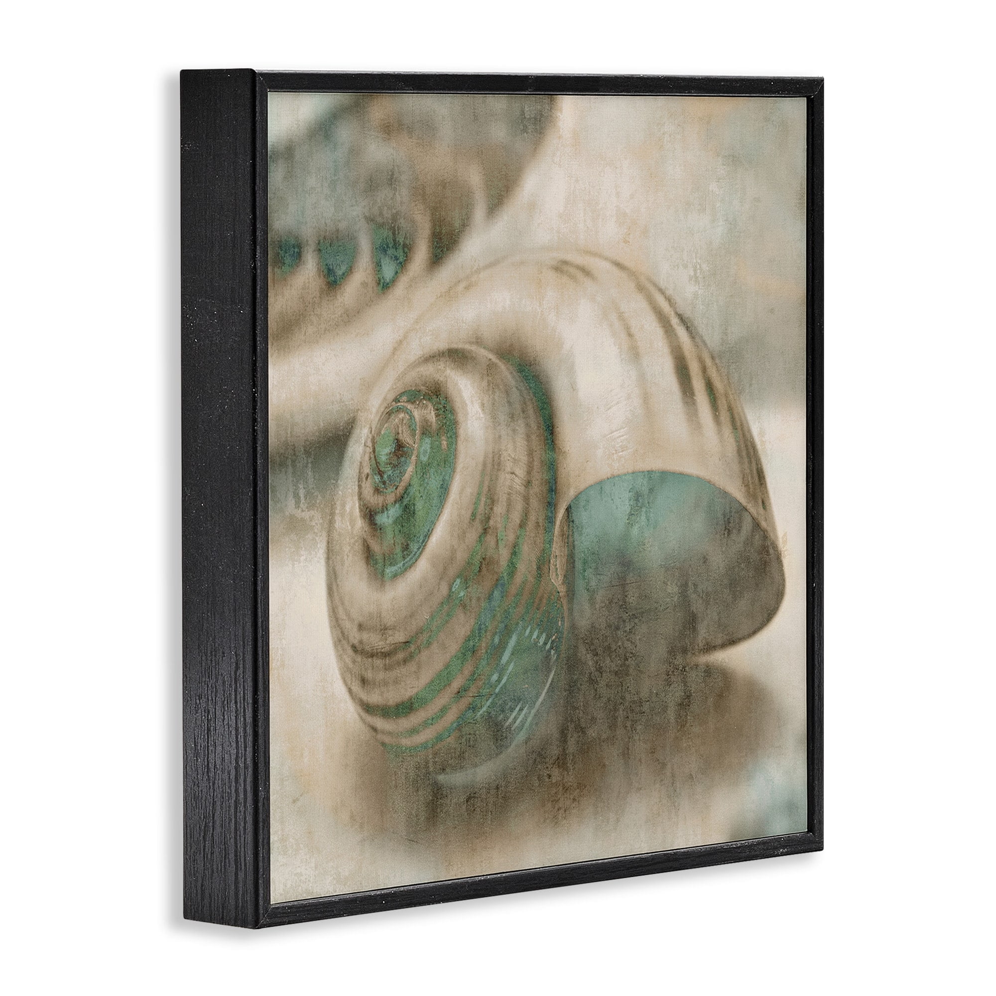 Stupell Industries Centered Sharkeye Seashell Distressed Texture Blue Tan Design Framed Wall Art by Ziwei Li
