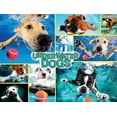thumbnail image 4 of Buffalo Games - Le puzzle Dog Days - Underwater Dogs - en 750 pièces, 4 of 5
