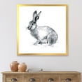 thumbnail image 3 of Designart 'Black and White Portrait Of Rabbit' Farmhouse Framed Art Print, 3 of 4