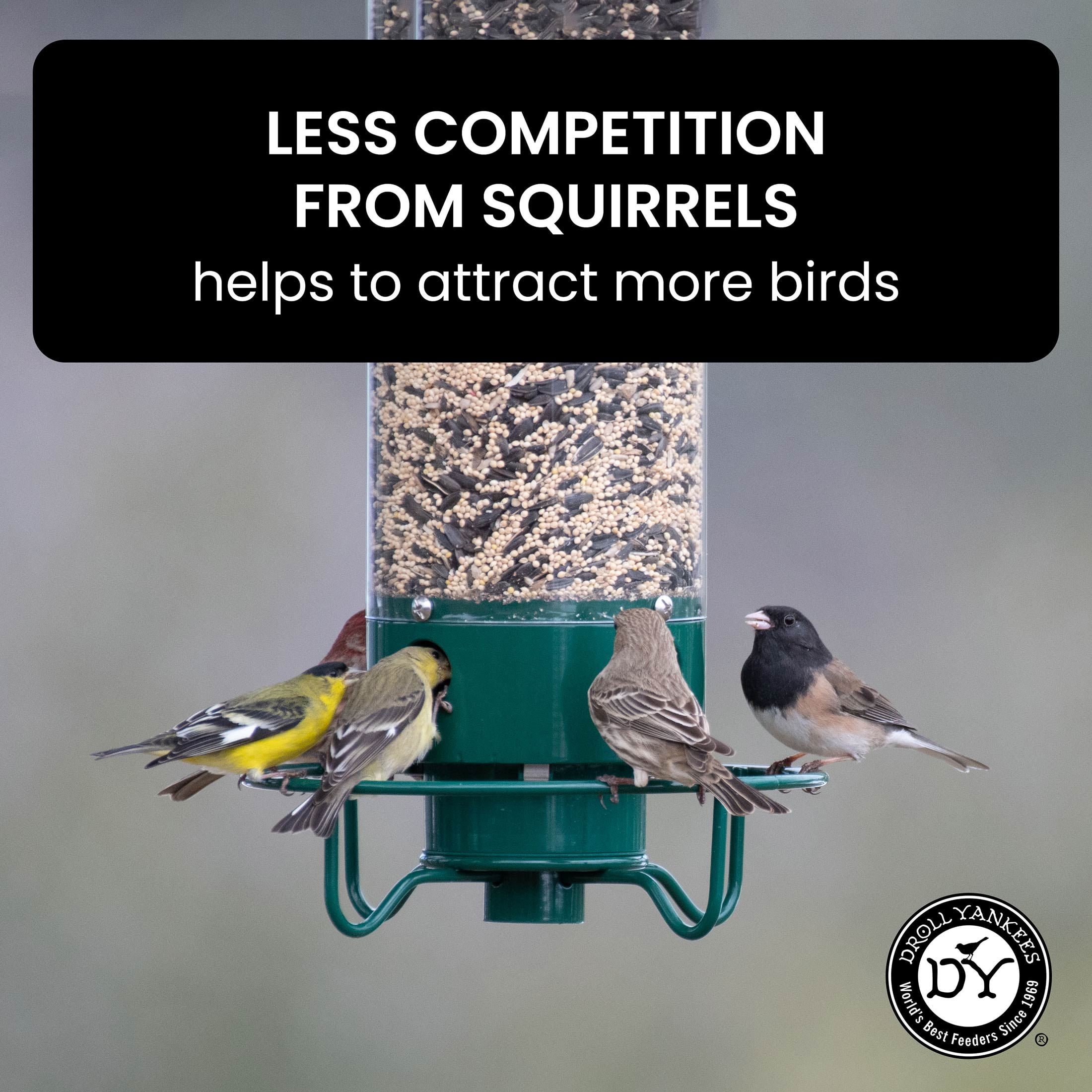 Droll Yankees Squirrel Proof Bird Feeders for Outdoors - YF-M - Flipper, Collapsible Perches, 5-Pound Seed Capacity, Green