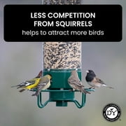 Droll Yankees Squirrel Proof Bird Feeders for Outdoors - YF-M - Flipper, Collapsible Perches, 5-Pound Seed Capacity, Green