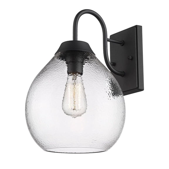 Ariella 1-Light Outdoor Wall Light in Natural Black and Hammered Clear Glass