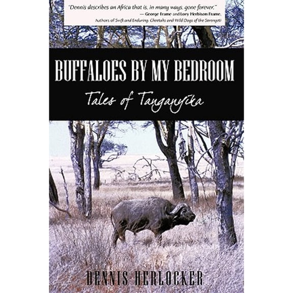 Buffaloes by My Bedroom (Paperback)