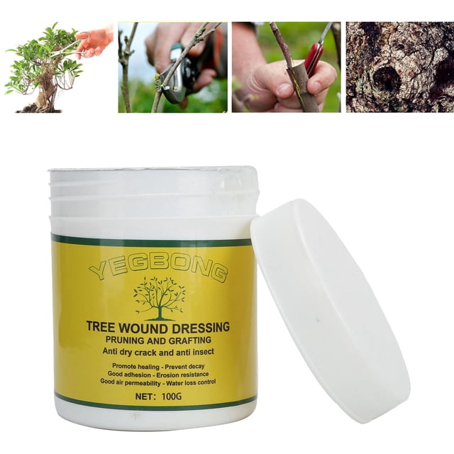 Tree Wound Sealer, Tree Wound Healing Agent Protective Sealing Simple High Performance For Fruit Trees For Shrub For Rose Trees
