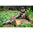 Antler King Honey Hole Food Plot Seed