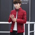 thumbnail image 5 of Chaqueta de plumón con cremallera para hombre, abrigos acolchados para hombre, parkas, promoción de invierno, ropa de abrigo vintage acolchada moderna de alta calidad 2024 en, 5 of 5