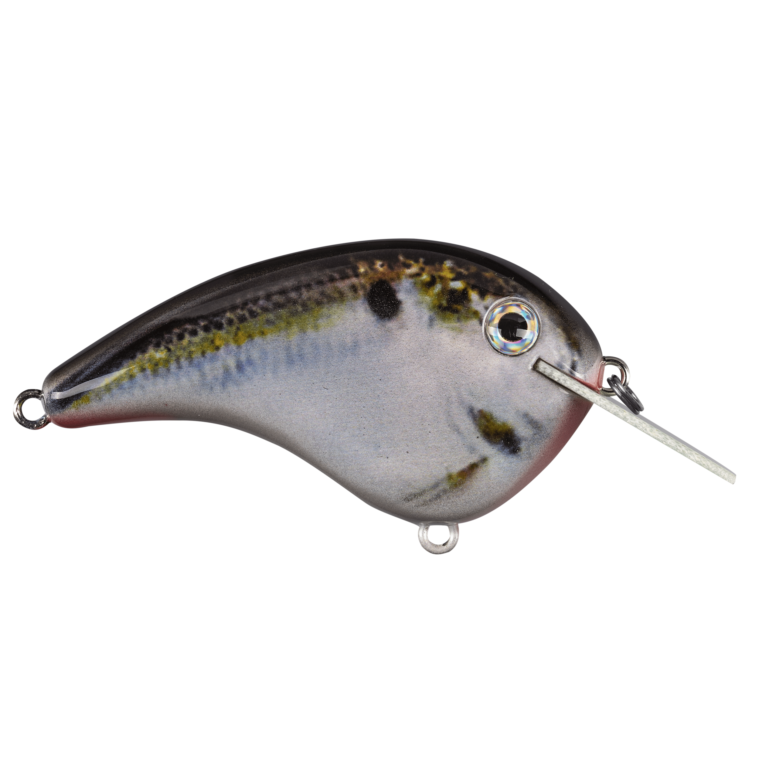 Strike King Chick Magnet Flatside Crankbait Fishing Lure Natural Shad