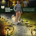 thumbnail image 5 of Solar Lights for Outside,16 Pack Flickering Flame LED Solar Outdoor Lights, Waterproof Solar Garden Lights Maintain 10 Hours of Lighting for Christmas, Garden, Landscape, Path, Yard, Patio, 5 of 10
