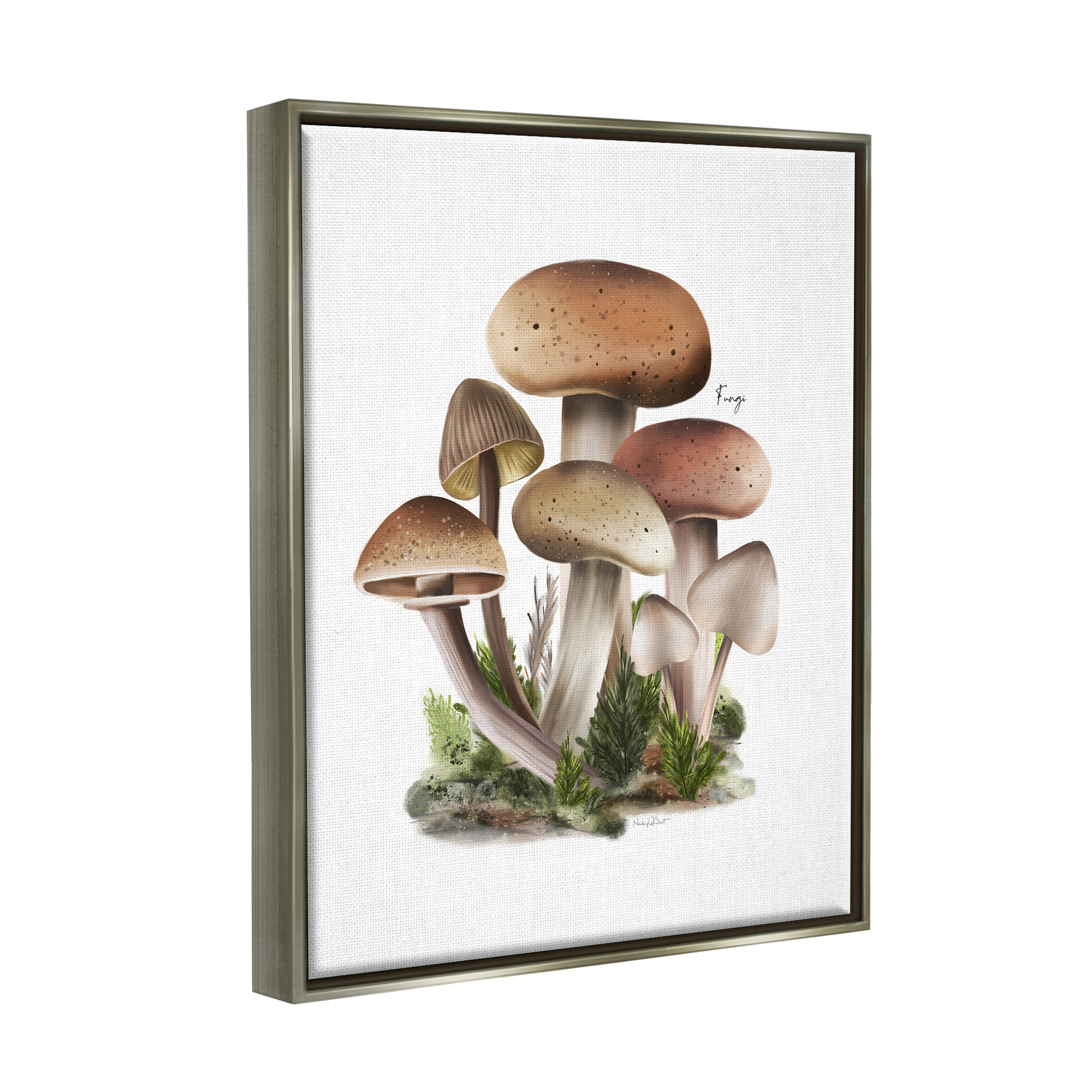 Stupell Industries Mushrooms on White Botanical & Floral Painting Gray Floater Framed Canvas Art Print Wall Art, 25 x 31