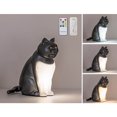 thumbnail image 2 of Cheapark Bedside Night Light With USB Charging Port Sound Activated Diffuser Decorative Table Lamp Gift Idea, 2 of 7