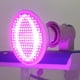thumbnail image 1 of Bombilla LED para cultivo de plantas iluminación para el hogar invernadero Tmvgtek hidropónico vegetales flores plántulas, 1 of 6