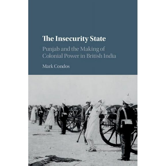 The Insecurity State, (Hardcover)