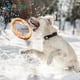 thumbnail image 3 of Juguetes para Perros LaRoo Naranja Flotantes para Masticadores Agresivos, 3 of 7