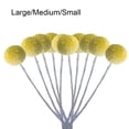 thumbnail image 3 of Bolsas de flores secas Bearachild 10 color amarillo dorado, 3 of 6